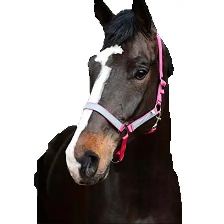 ジャクソン(Jacson) 乗馬 頭絡 反射ホルターネック