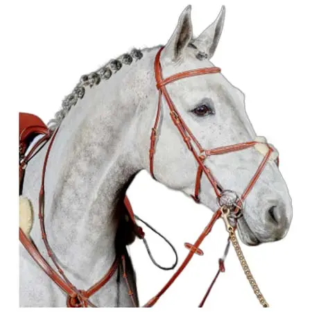 ジョンウィテカーインターナショナル(John Whitaker International) 乗馬 頭絡 Valencia Super Deluxe Mexican Bridle With Reins