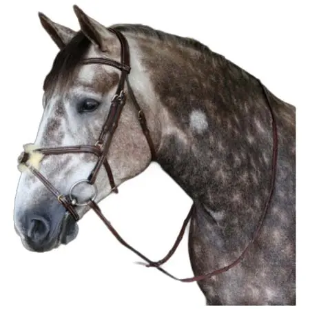 ジョンウィテカーインターナショナル(John Whitaker International) 乗馬 頭絡 Vienna Mexican Bridle & 9-Loop Rubber Billet Reins