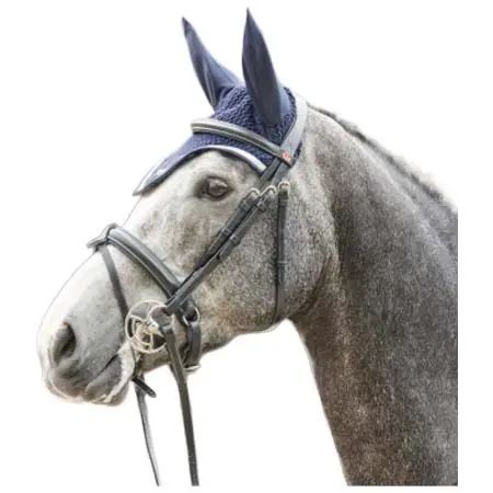 ジョンウィテカーインターナショナル(John Whitaker International) 乗馬 頭絡 Eastwood Crank Bridle & 9-Loop Rubber Reins