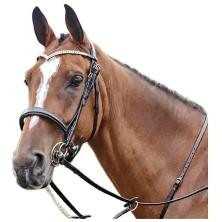ジョンウィテカーインターナショナル(John Whitaker International) 乗馬 頭絡 Lynton Snaffle Bridle with 2 Browbands
