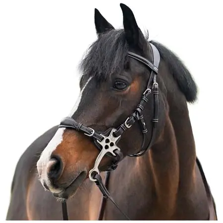ジャンピン(Jump’in) 乗馬 頭絡 Hackamore Bridle – One Premium Collection