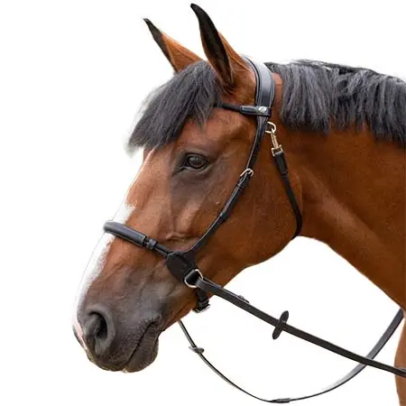 ジャンピン(Jump’in) 乗馬 頭絡 Bitless Bridle – Origin series