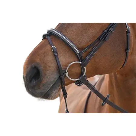 ジャンピン(Jump’in) 乗馬 頭絡 Havana Clincher Bridle – Origin range