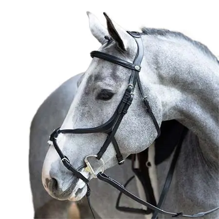ジャンピン(Jump’in) 乗馬 頭絡 EVOLUTION Mexican noseband Bridle – Origin series