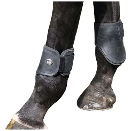 ジャンピン(Jump’in) 乗馬 馬用プロテクター Para Black Fetlocks