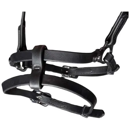 カールスルンド(Karlslund) 乗馬 頭絡 SuperStrap combined bridle