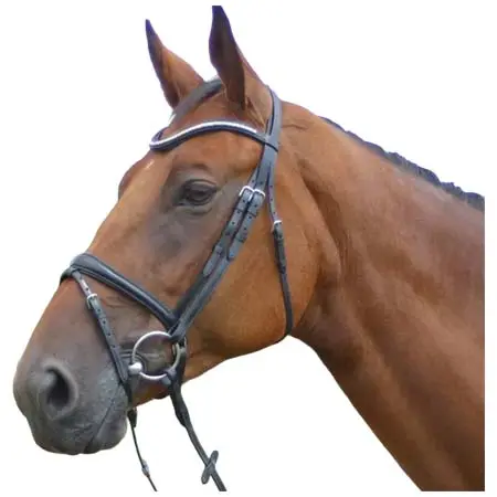 ケンタオアー(KenTaur) 乗馬 頭絡 Kentaur Madison Bridle