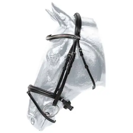 ケンタオアー(KenTaur) 乗馬 頭絡 Kentaur Griffin Bridle