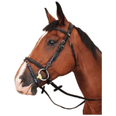 ケンタオアー(KenTaur) 乗馬 頭絡 Kentaur Danville Bridle