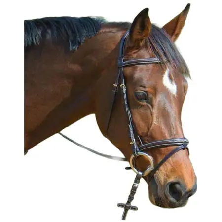 ケンタオアー(KenTaur) 乗馬 頭絡 Kentaur Hartford Bridle