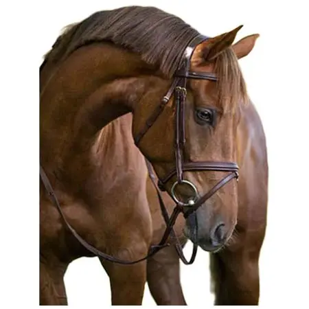 ケアブル(KERBL) 乗馬 頭絡 Kerbl Bridle Classic Classic Classic Brown