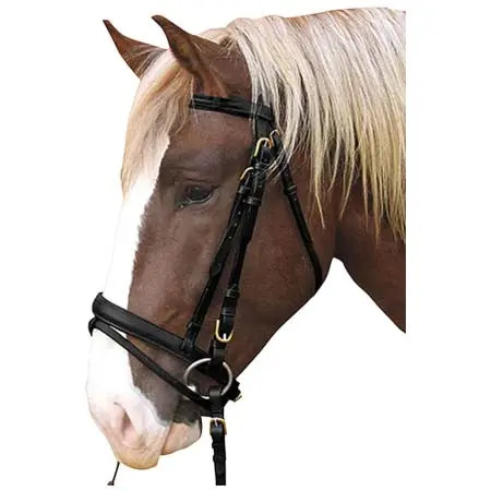 ケアブル(KERBL) 乗馬 頭絡 Kerbl Bridle Cold Blood Black