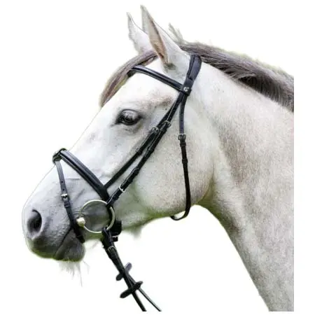 キーファー(Kieffer) 乗馬 頭絡 Snaffle Bridle Anja Beran