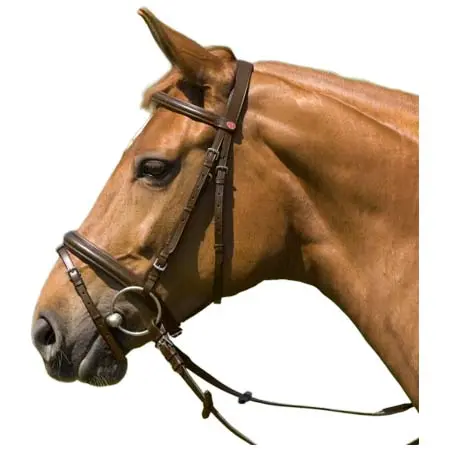 キーファー(Kieffer) 乗馬 頭絡 Snaffle Bridle Belinda