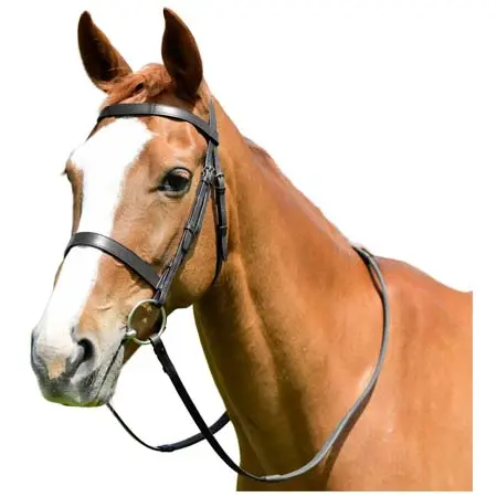 キンケード(Kincade) 乗馬 頭絡 Classic Flat Hunt Bridle With Reins