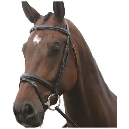 キンケード(Kincade) 乗馬 頭絡 Flash Bridle