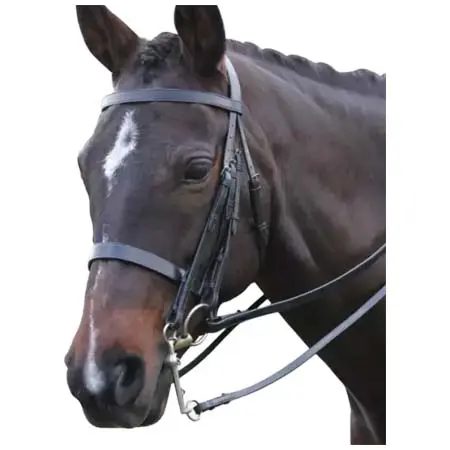 キンケード(Kincade) 乗馬 頭絡 ショーWeymouth Bridle