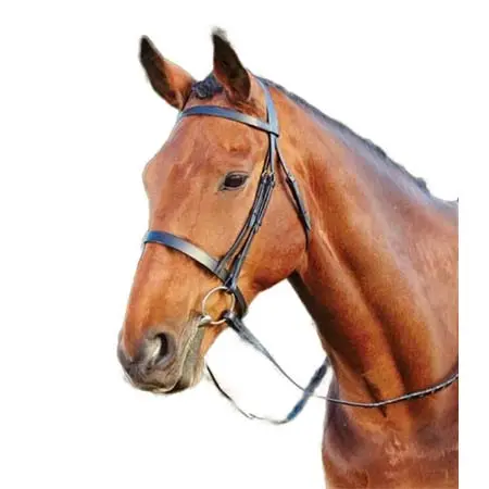 キンケード(Kincade) 乗馬 頭絡 Cavesson Bridle
