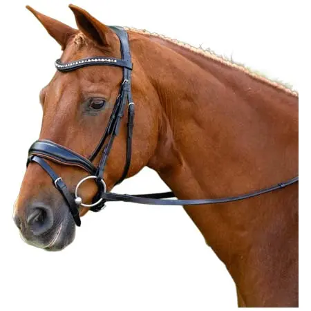 ケーエルセレクト(KL Select) 乗馬 頭絡 KL Select Elite Bridle