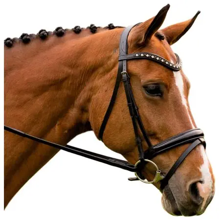 ケーエルセレクト(KL Select) 乗馬 頭絡 Red Barn Stride Bridle