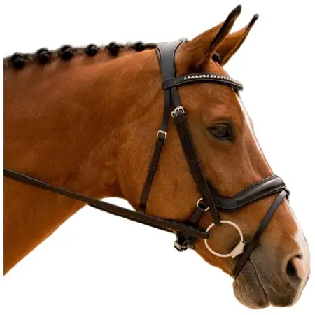 ケーエルセレクト(KL Select) 乗馬 頭絡 KL Select Impulsion Bridle