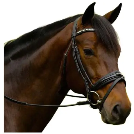 ケーエルセレクト(KL Select) 乗馬 頭絡 KL Select Flexion Bridle in Patent Leather