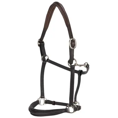 ランズバラ(Landsborough) 乗馬 頭絡 Leather Halter – Brown