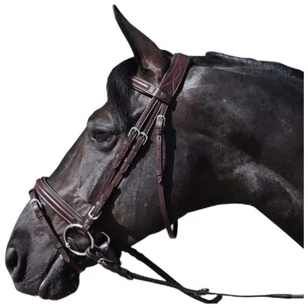 レキシントン(Lexington) 乗馬 頭絡 Denver combination riding bridles Lexington