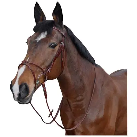 レキシントン(Lexington) 乗馬 頭絡 Bridle atlanta round Lexington