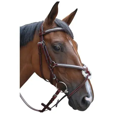 レキシントン(Lexington) 乗馬 頭絡 Snaffle bridles tucson cross Lexington