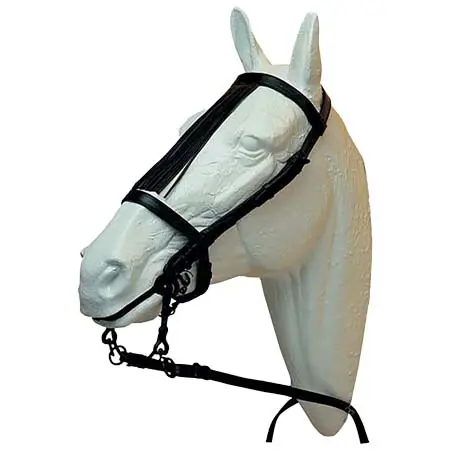 ルドマール(Ludomar) 乗馬 頭絡 Classic Western bridle
