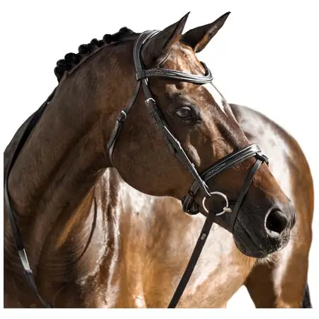 ルミエール(Lumiere) 乗馬 頭絡 ‘Milan’ leather bridle (convertible)