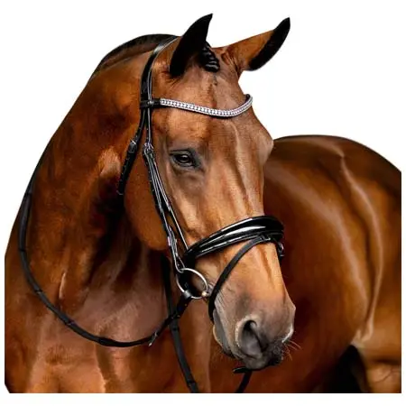 ルミエール(Lumiere) 乗馬 頭絡 ‘Amie’ Flat Leather Bridle (Hanoverian)