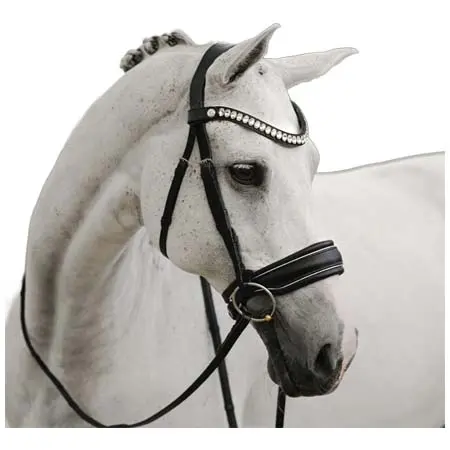 ルミエール(Lumiere) 乗馬 頭絡 Diva bridle (cavesson)