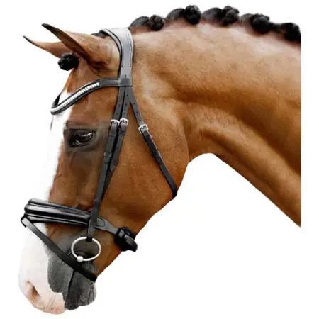 ルミエール(Lumiere) 乗馬 頭絡 ‘Melodie’ classic bridle
