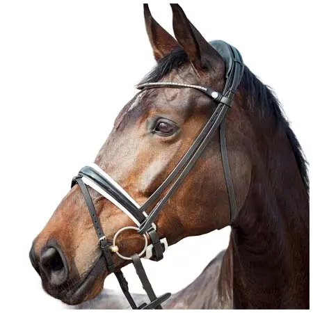 マッキー(Mackey) 乗馬 頭絡 Finesse Cayenne Flash Bridle
