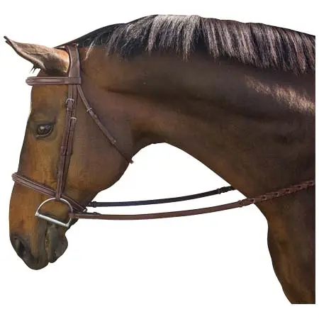 マルセルトゥールーズ(Marcel Toulouse) 乗馬 頭絡 Marcel Toulouse Platinum Liza/Camden Snaffle Hunter Bridle