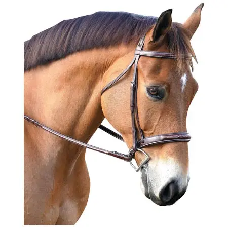 マルセルトゥールーズ(Marcel Toulouse) 乗馬 頭絡 Marcel Toulouse Platinum Devon Snaffle Hunter Bridle