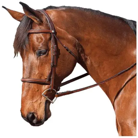 マルセルトゥールーズ(Marcel Toulouse) 乗馬 頭絡 Marcel Toulouse Novice Hunter Bridle