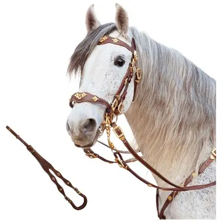 マージョマン(Marjoman) 乗馬 頭絡 MARJOMAN CORTEZÍA SET, 2 REINS