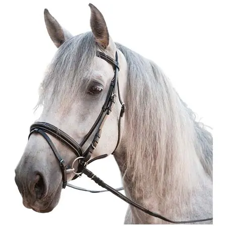 マージョマン・ディストリビューション(Marjoman Distribucion) 乗馬 頭絡 FULLY PADDED BRIDLE WITH SWEDISH NOSEBAND WITH GRIP REINS
