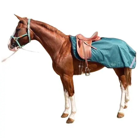 マージョマン・ディストリビューション(Marjoman Distribucion) 乗馬 馬着 WATERPROOF EXERCISE RUG WITH FLEECE LINING