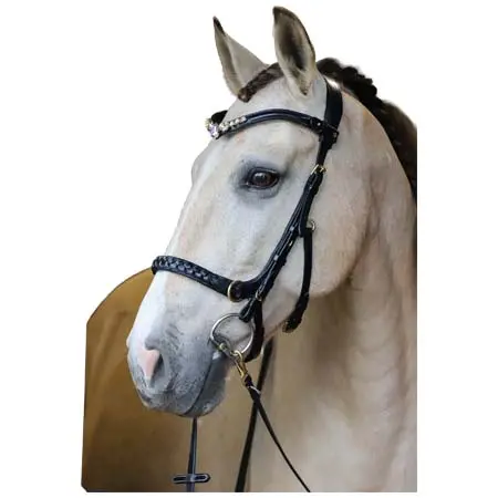 マセゴ(Masego) 乗馬 頭絡 Odessa bonita Multi Bridle with padded noseband – MASEGO bit to bitless system