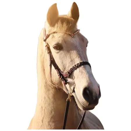マセゴ(Masego) 乗馬 頭絡 Odessa Bonita Multi bridle – MASEGO bit to bitless system