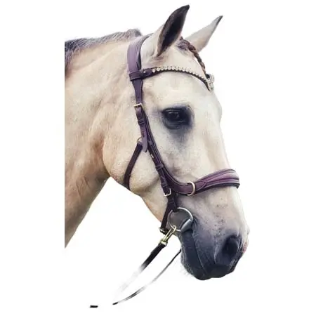 マセゴ(Masego) 乗馬 頭絡 Oliander Multi Bridle – MASEGO bit to bitless system