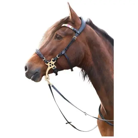 マセゴ(Masego) 乗馬 頭絡 Zoe hackamore Bridle