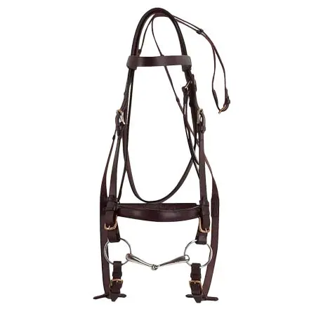 ノートンエクエストリアン(Norton Equestrian) 乗馬 頭絡 Norton Equestrian MF bridle