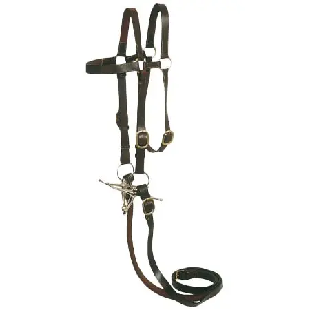 オードリバー(Ord River) 乗馬 頭絡 7/8″ Extended Head Barcoo Bridle