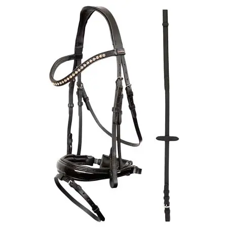 プレミア(Premiere) 乗馬 頭絡 Premiere Brest Lacque&Non-Skid Reins bridle